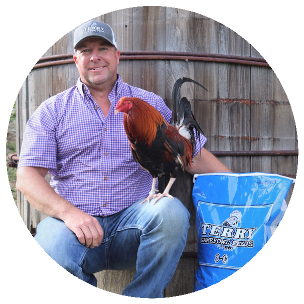 Michael Terry with rooster Terry Gamefowl Feeds